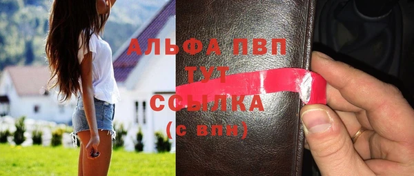 сатива Осинники