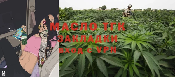 сатива Осинники