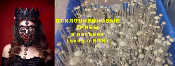 сатива Осинники